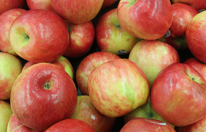 Fuji Apples Information and Facts